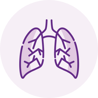 Lungs icon